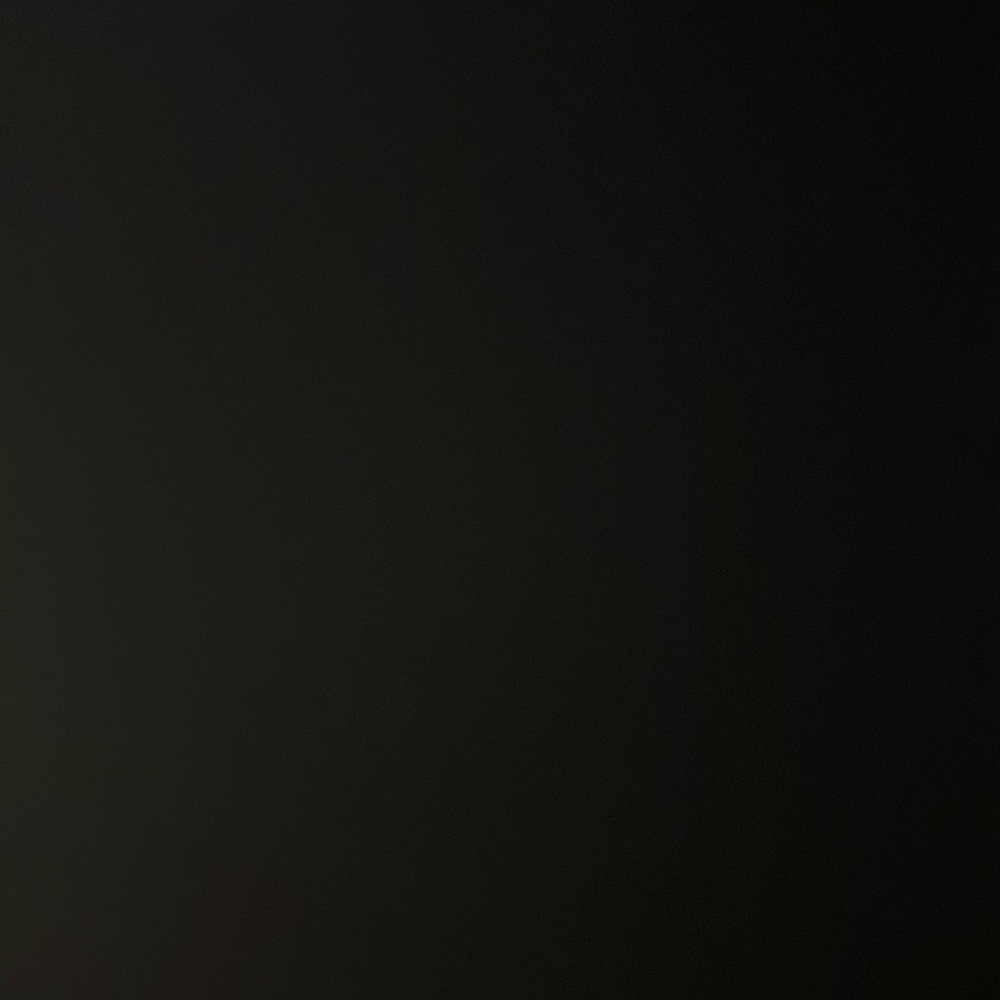 Meet your Posher, Dani